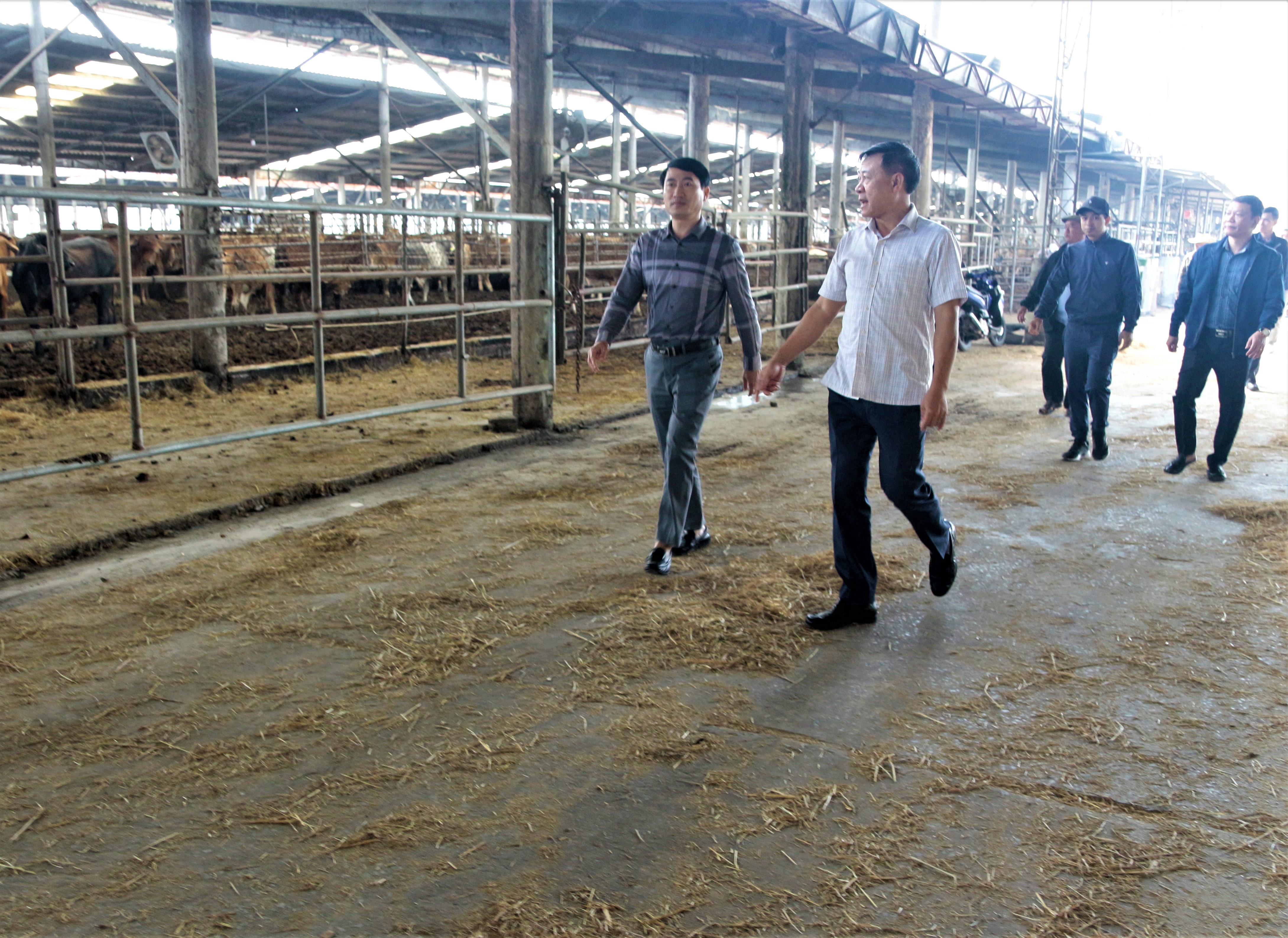 Nông dân Hương Bình phấn khởi tham quan các mô hình phát triển kinh tế