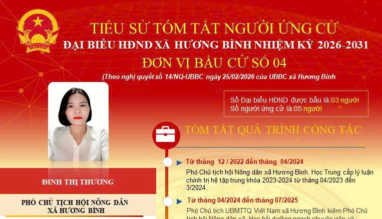 Tóm tắt tiểu sử bà Đinh Thị Thương, Phó Chủ tịch Hội nông dân xã Hương Bình, tỉnh Hà Tĩnh.