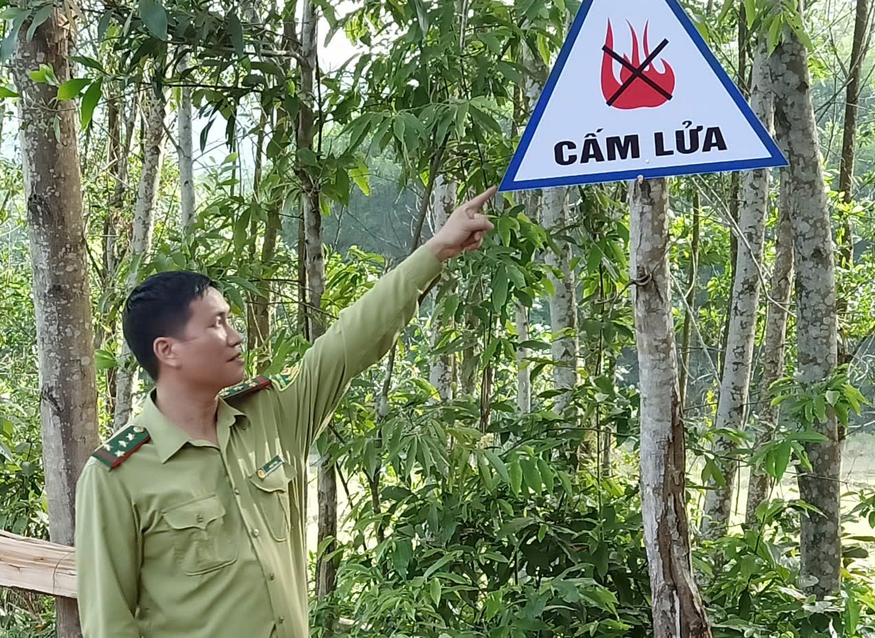 Nâng cao vai trò trách nhiệm trong công tác bảo vệ rừng, phòng cháy chữa cháy rừng trong mùa nắng nóng.