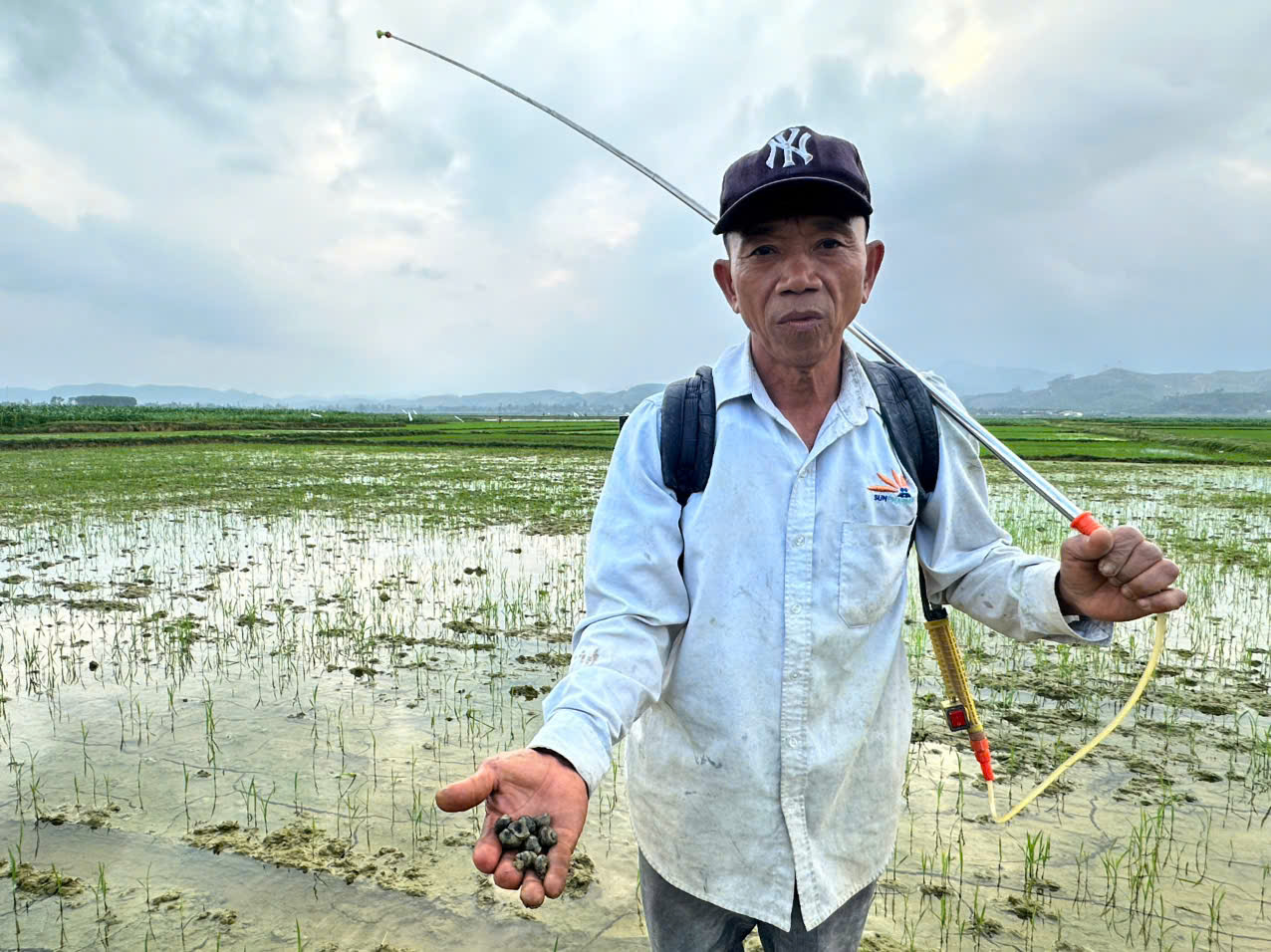 Tập trung đôn đốc bà con dân dân ra đồng chăm sóc lúa vụ Xuân 2026