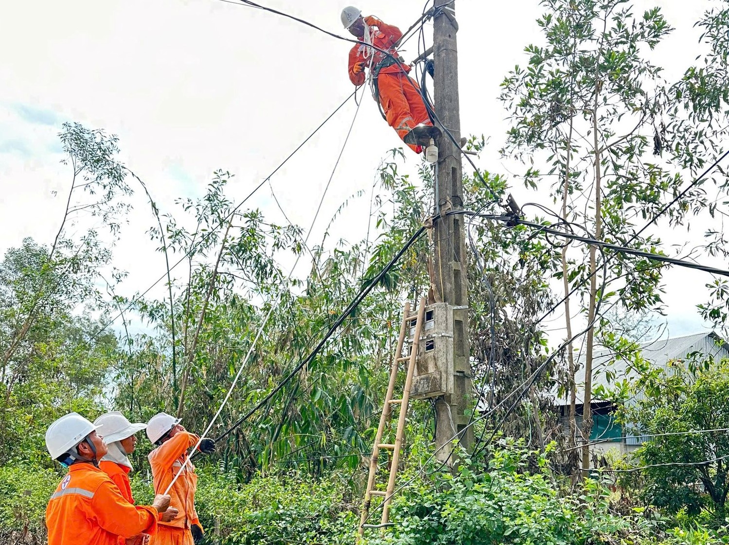Người dân cần chú ý đảm bảo an toàn lưới điện các ngày lễ và Tết Nguyên Đán