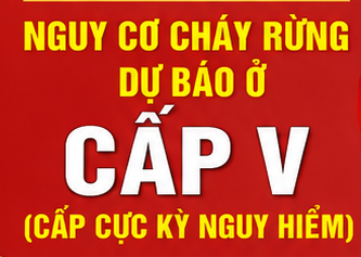 Đốt thực bì thời điểm cấp dự báo cháy rừng cực kỳ nguy hiểm, người đàn ông bị xử phạt hành chính