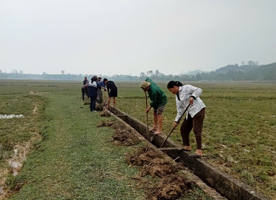 Bà con nông dân xã Hương Bình hối hả ra đồng nạo vét kênh mương và diệt chuột