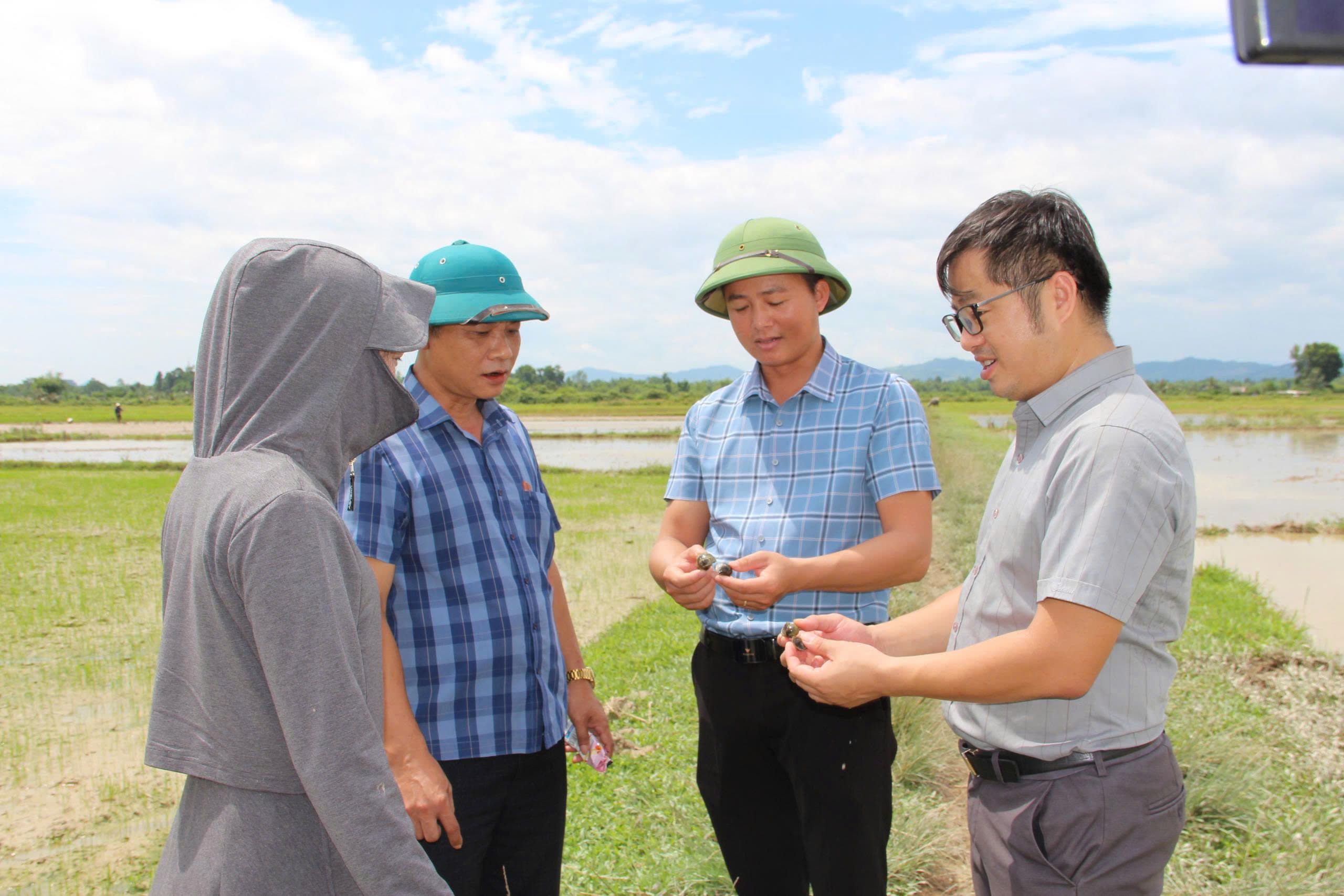 Quyết liệt đẩy nhanh tiến độ sản xuất vụ Hè Thu và tập trung tiêm phòng cho đàn gia súc, gia cầm