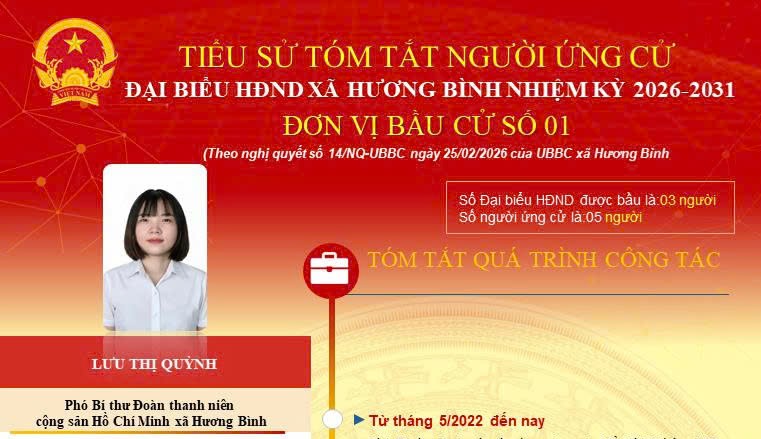 Tóm tắt tiểu sử bà Lưu Thị Quỳnh, Phó Bí thư Đoàn thanh niên Cộng Sản Hồ Chí Minh xã Hương Bình. 