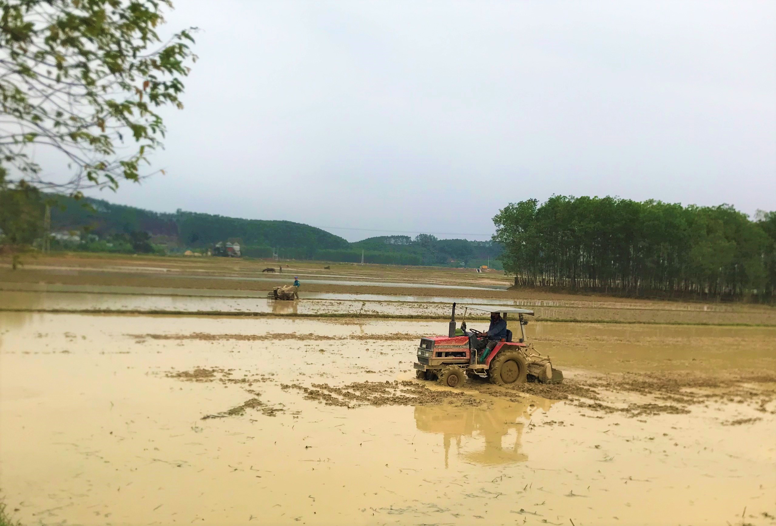 Hội nông dân xã đồng hành cùng bà con nông dân thi đua lao động, sản xuất  